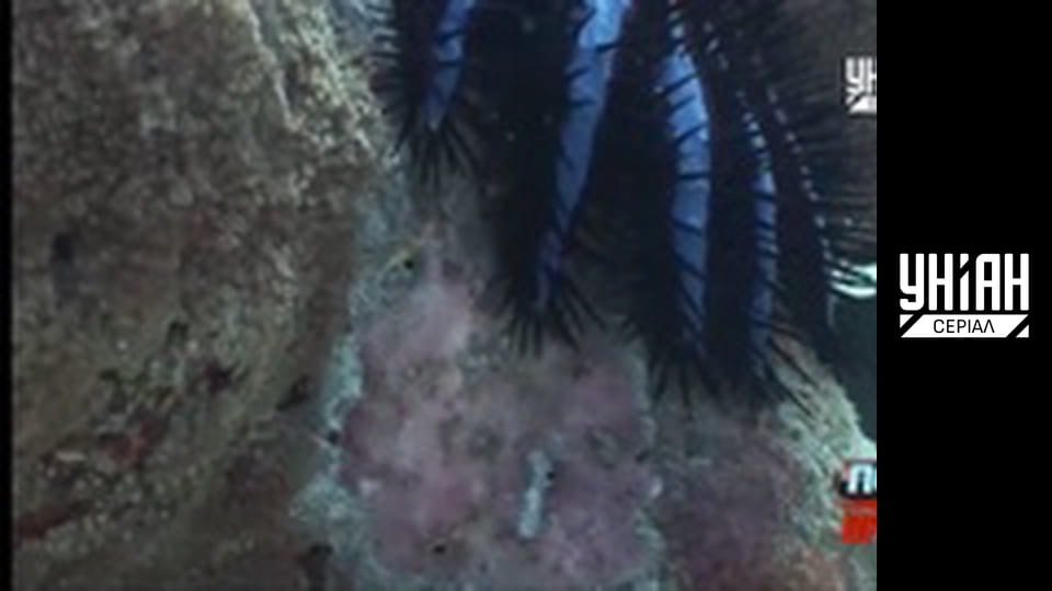 Помста природи