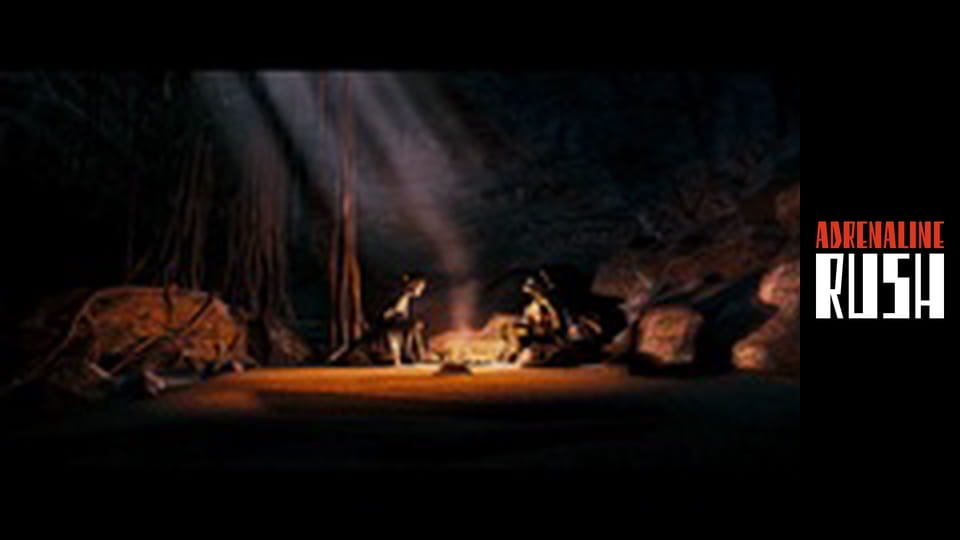 Wojownicze żółwie ninja