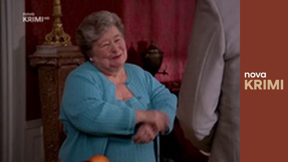 Můj přítel Monk S4E5 - Pan Monk se opíjí