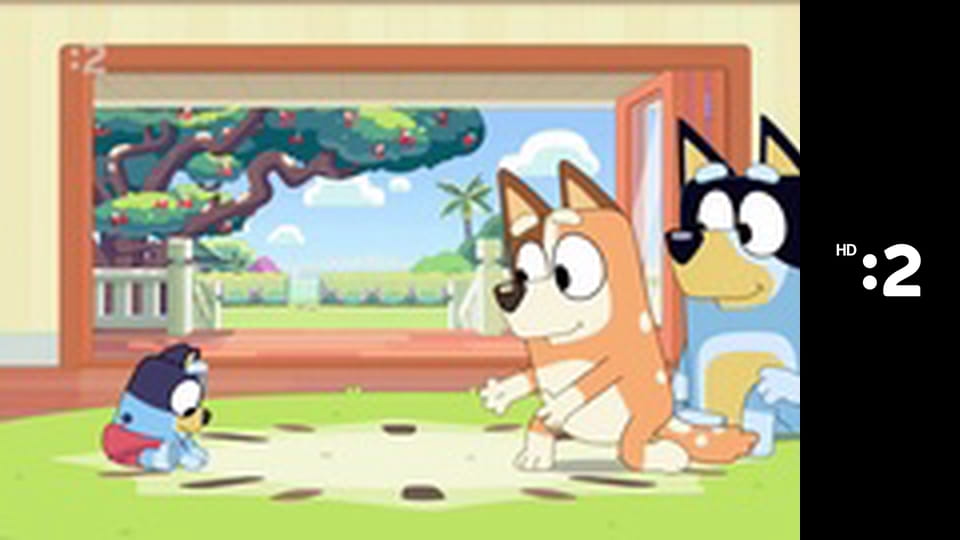 Pa a Pi E34 - Záchranná akcia