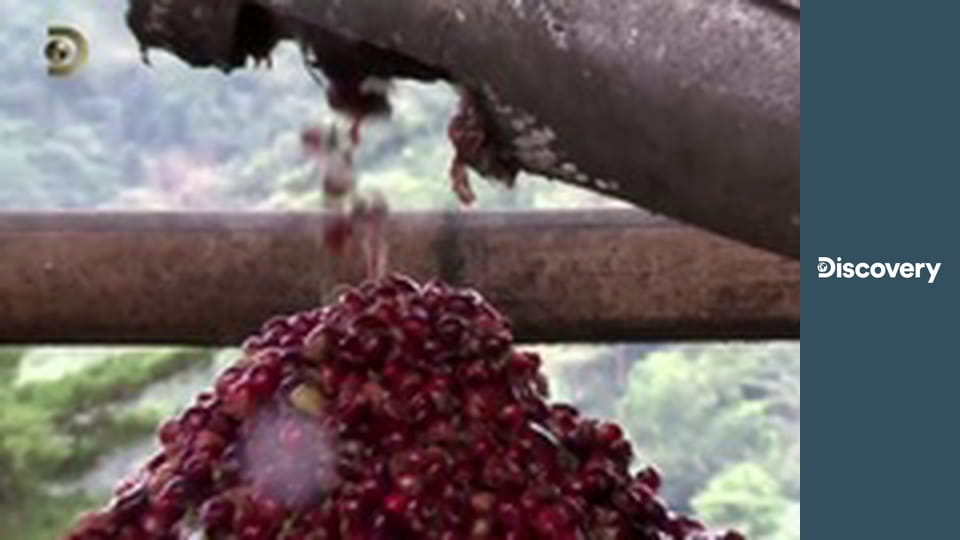 Jak to dělají? S13E3