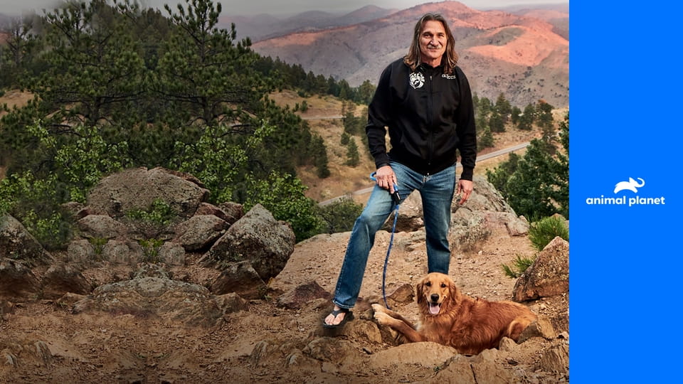 Доктор Джефф. Ветеринар Рокки Маунтин S5E11 - Поехали!