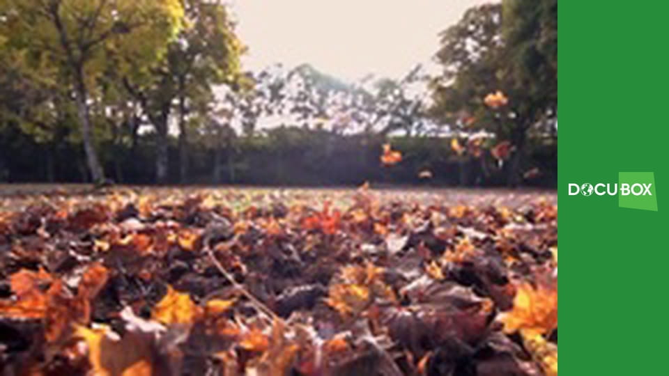 Podróż w Kosmos S1E1 - Układy słoneczne, satelity, teleskopy, gwiazdy, Ziemia, zwierzęta w kosmosie