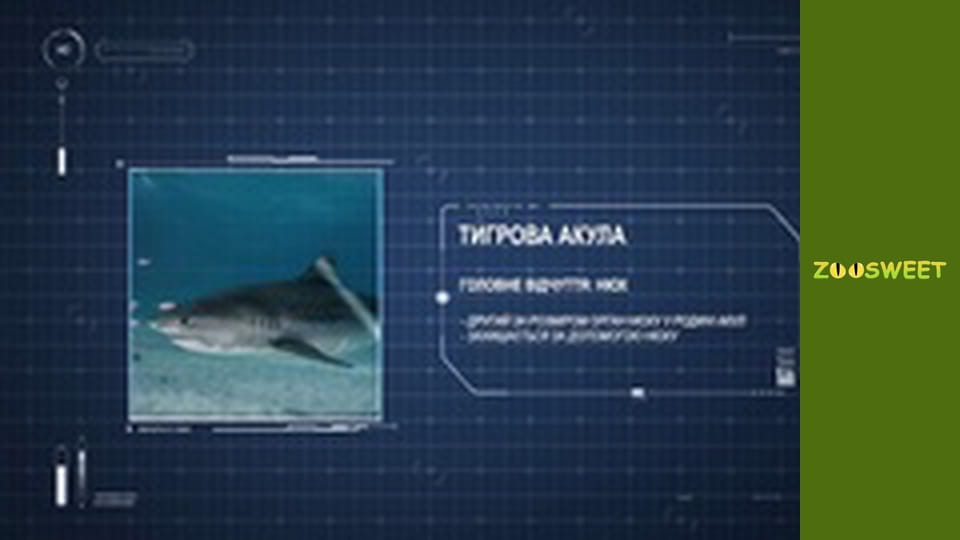 Особливий загін - серія 1