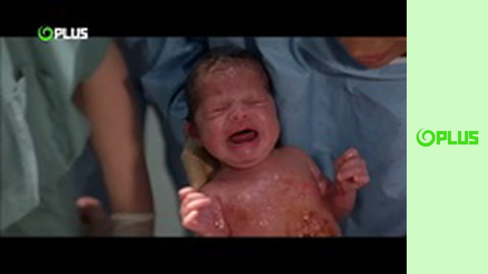 Otec na plný úväzok