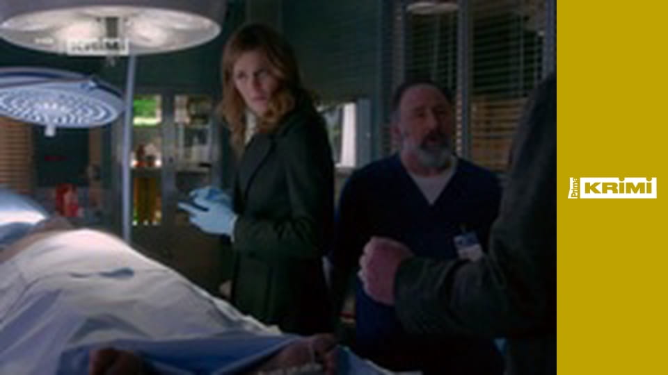 Castle na zabití S8E13 - Spravedlnost pro všechny