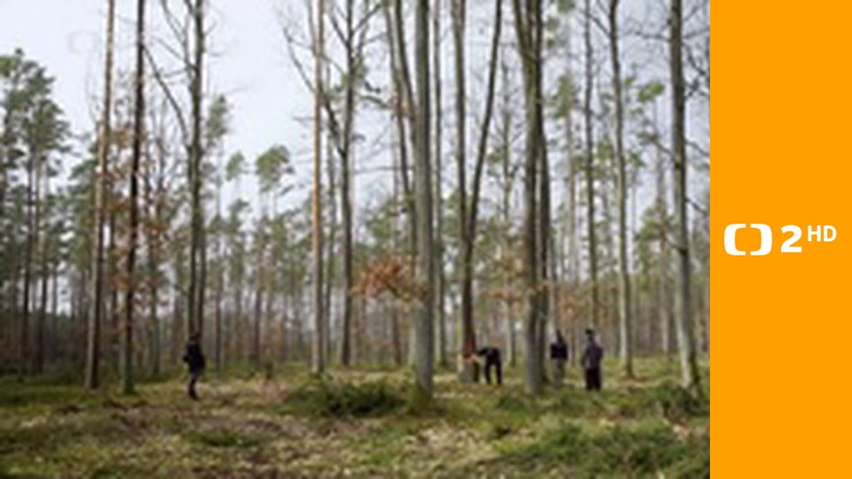 Mořeplavci pravěku