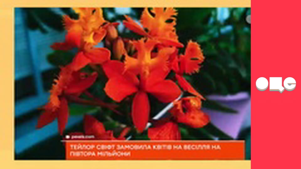 Аферисти в сітях, 2 сезон.