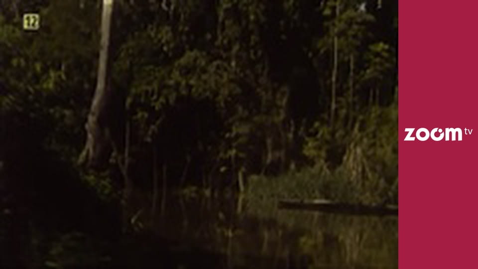 Wojciech Cejrowski - boso przez świat S1E49 - Peru. Amazonia, 1973