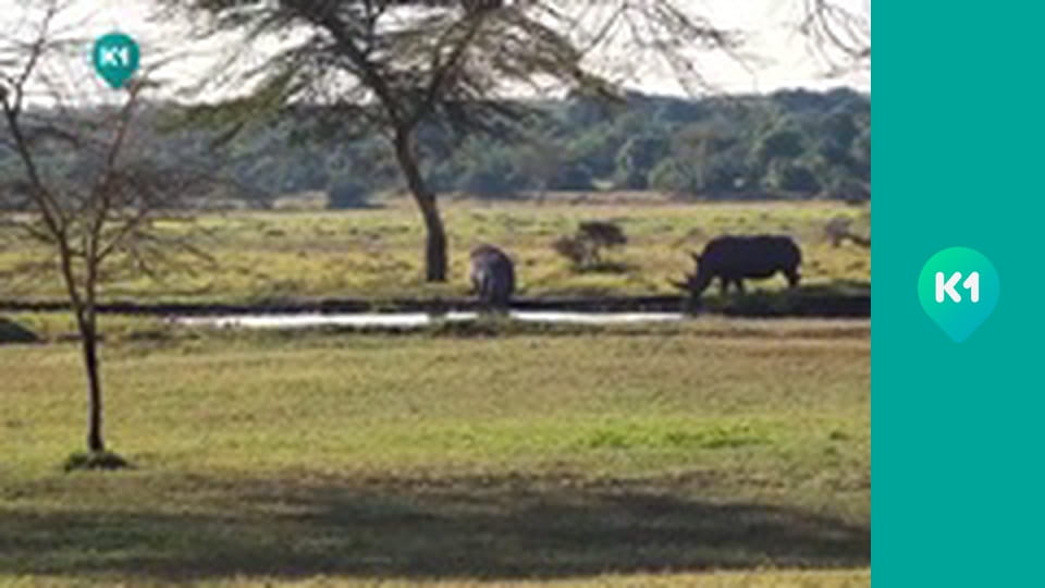 "Світ_огляд з Машею Себовою".