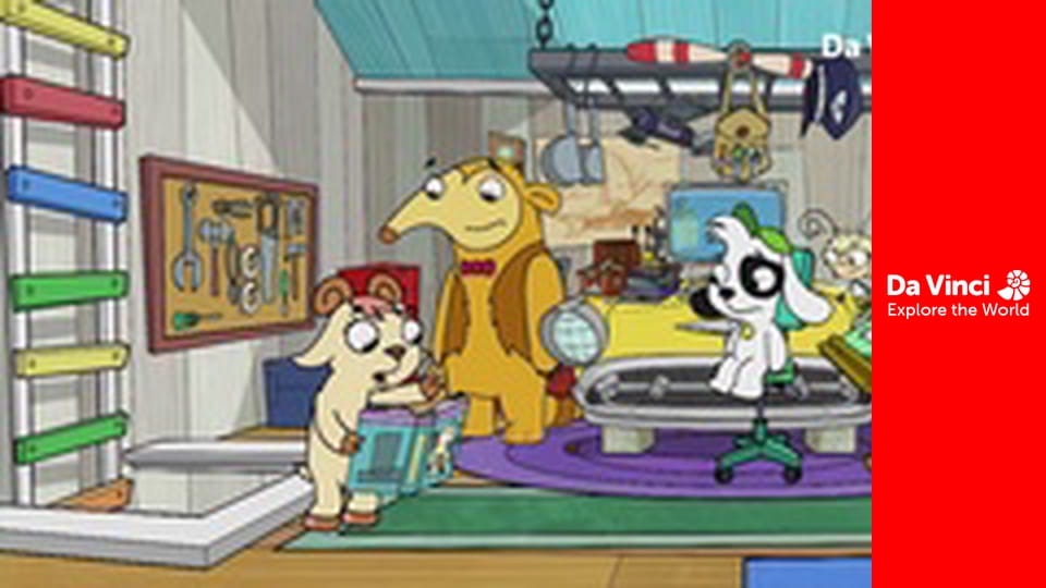 Докі - Рідкісні  птахи