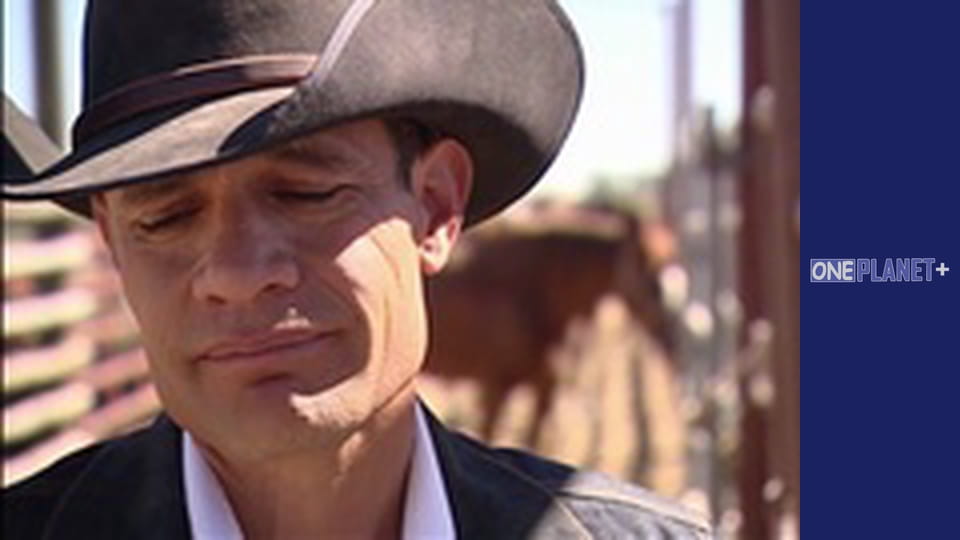 Просто неба - Національні парки. - серия 4