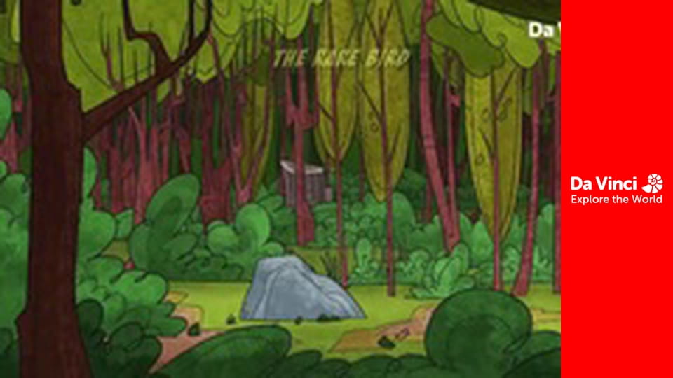 Doki - The Rare Bird