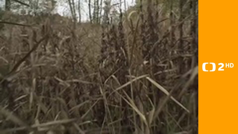 Cesty víry - Cokoliv jste učinili...