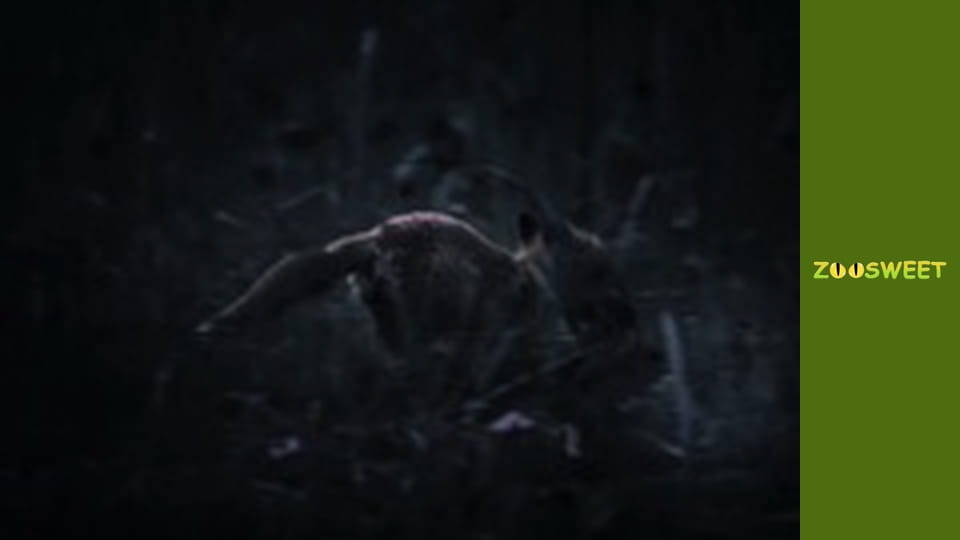 Боротьба за виживання, Сезон 1, Випуск 13