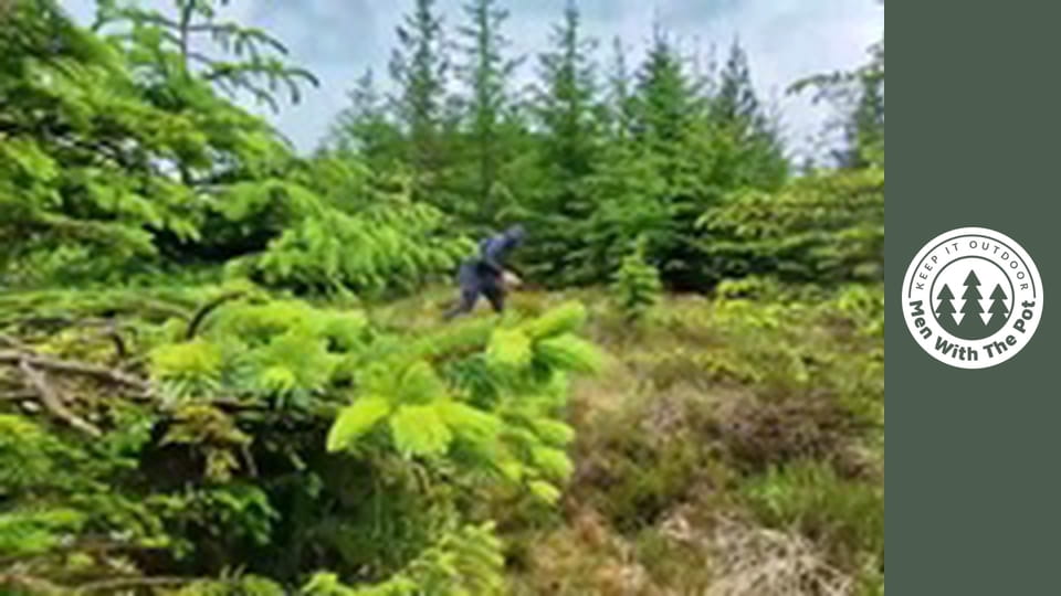 Pizza Recipe with Chicken, Bacon and Chilli