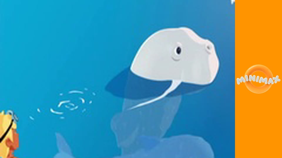 Zoom, a fehér delfin S1E2 - Az elveszett teknős