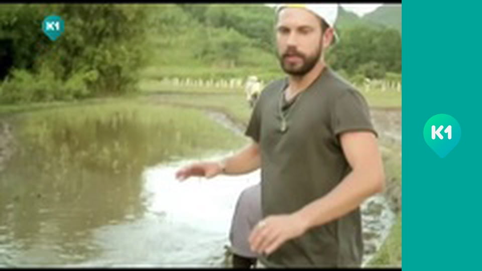 "Так не буває".