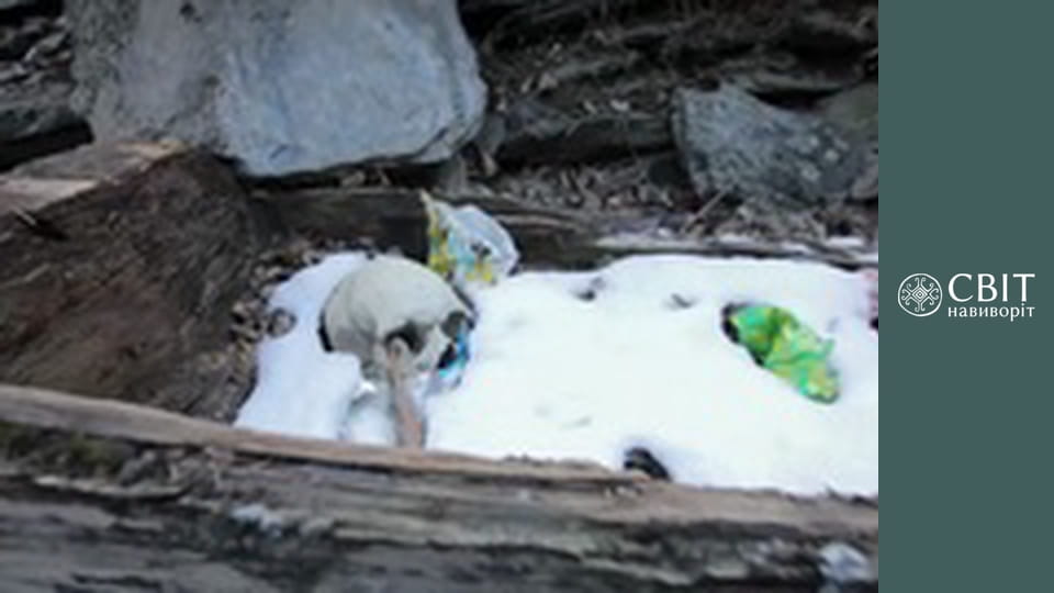 Сезон 12, Выпуск 15, Пакистан