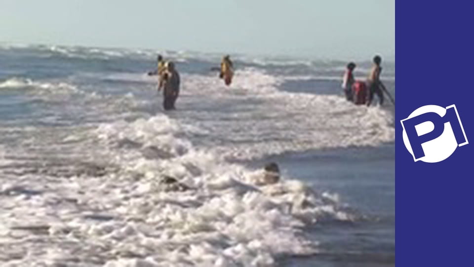 Niebezpieczne plaże Nowej Zelandii S1E6