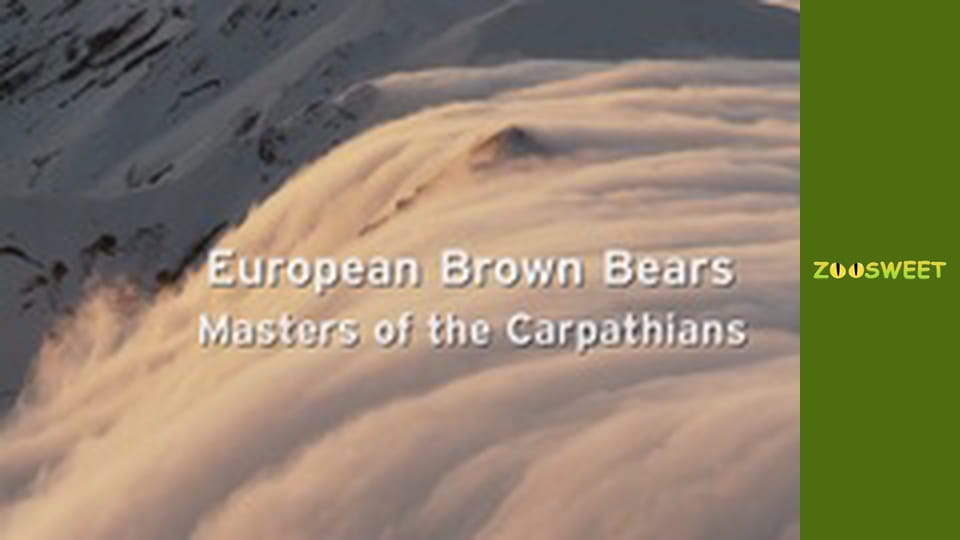 Знайомство з дикою природою, Випуск 2