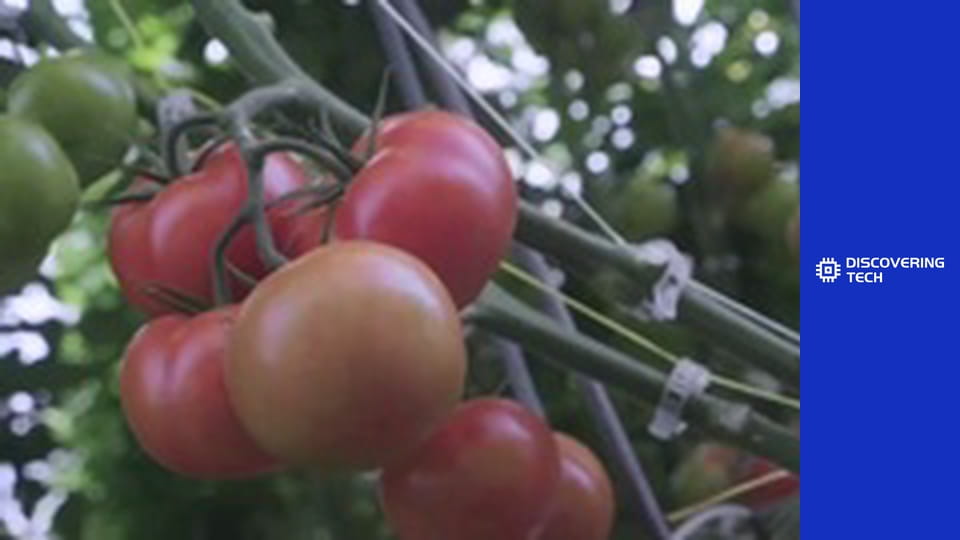 VOA TEK: Farm Innovations