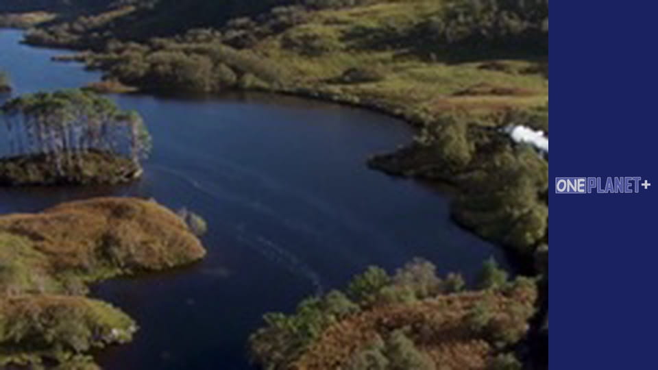 Залізничні Історіі - cерия 2