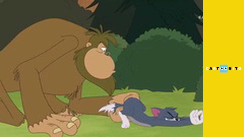 Bugs Bunny Stavitelé S2E20