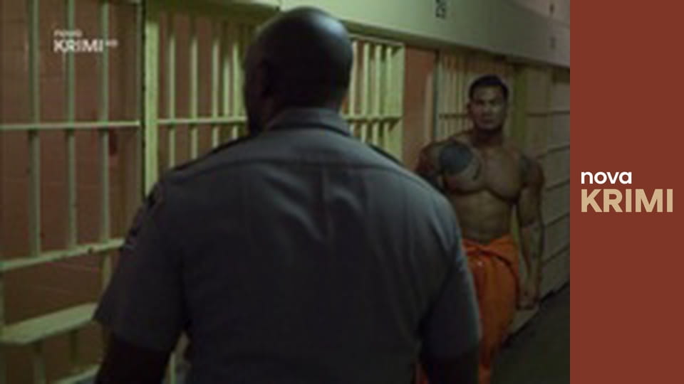 Myšlenky zločince S12E1