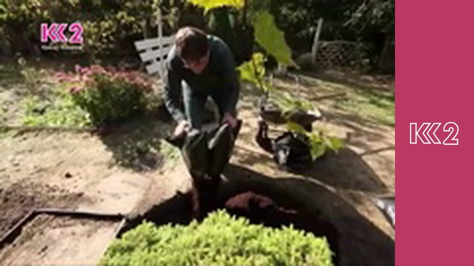 Удачний проект S1E28