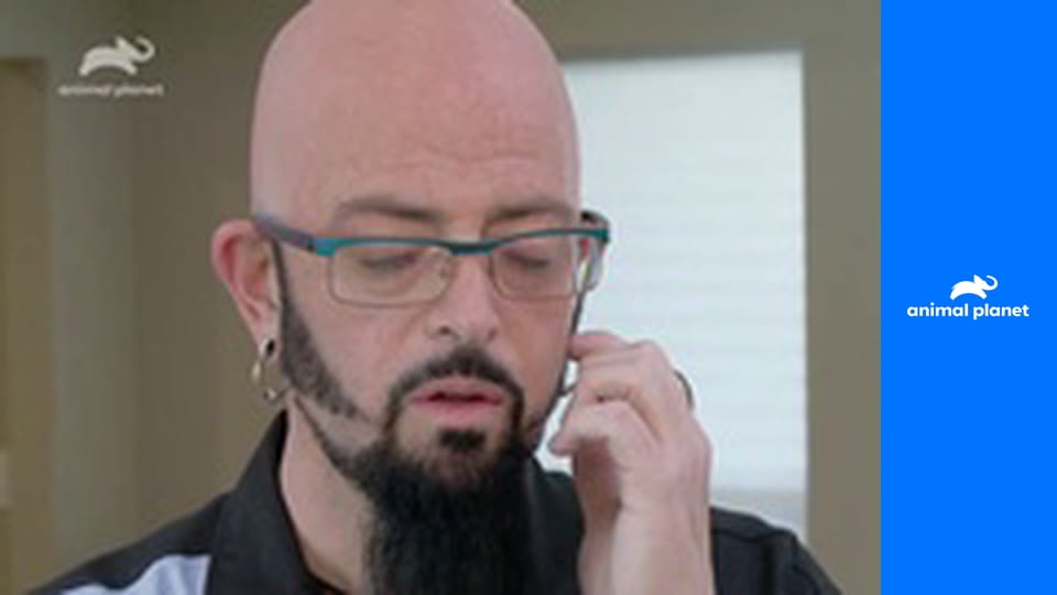 Má pekelná kočka S5E8 - Mamma Mia!