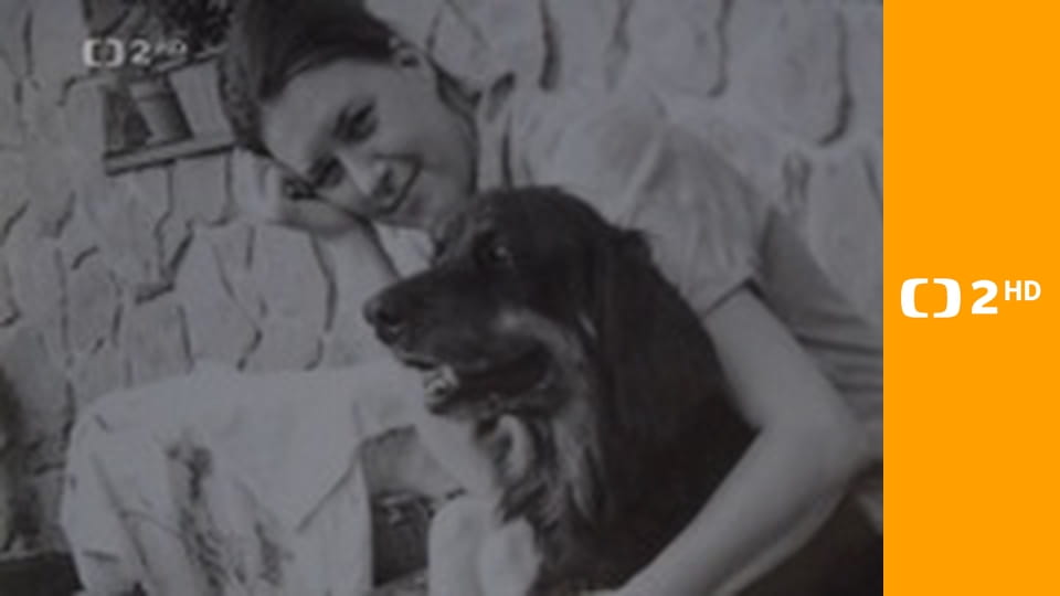 Zašlapané projekty - Los Angeles 1984