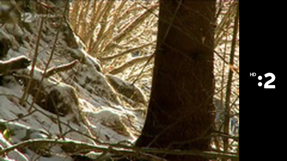 Byť tak zvieratkom E6 - Ženetka