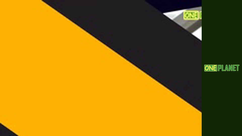 Дивовижне поруч, 6 еп.