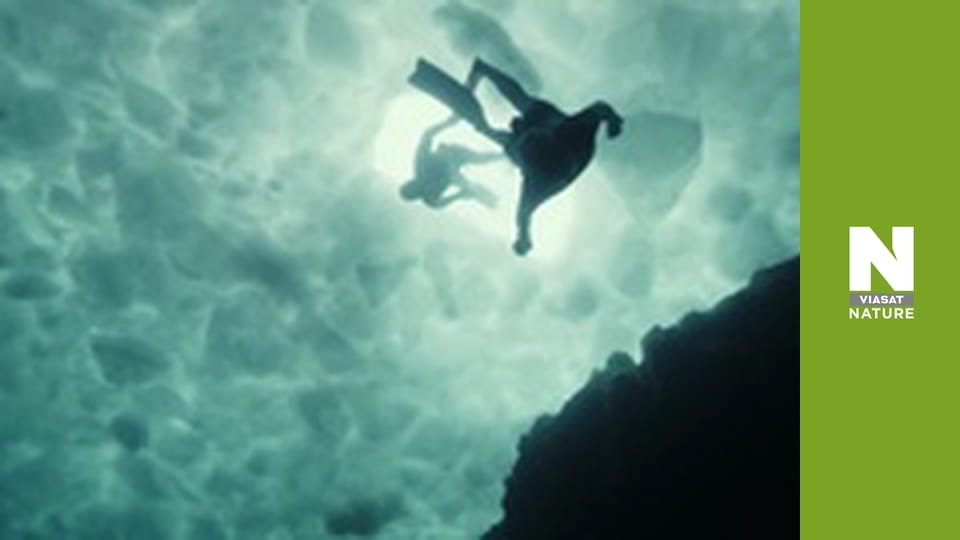 Великі озера - Велика заморозка