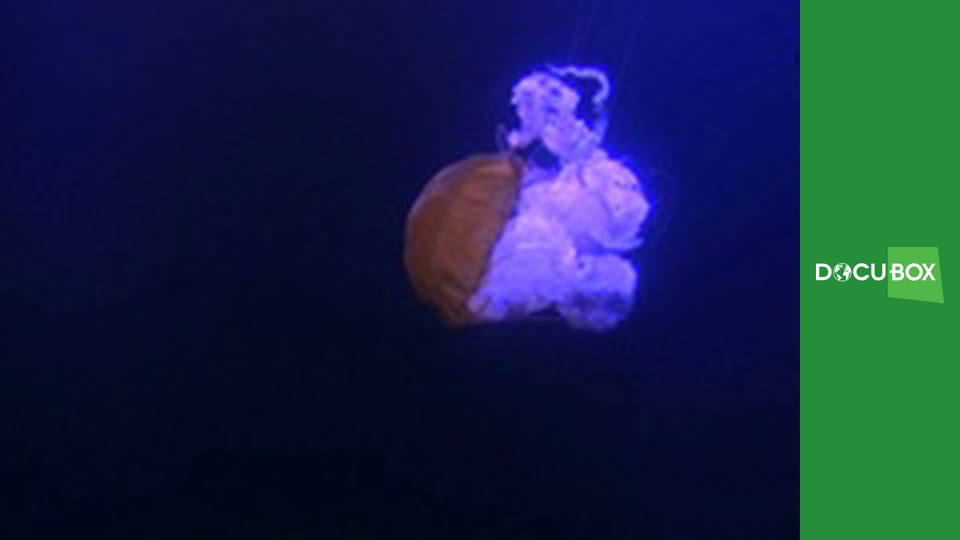 Wspaniały świat S1E7