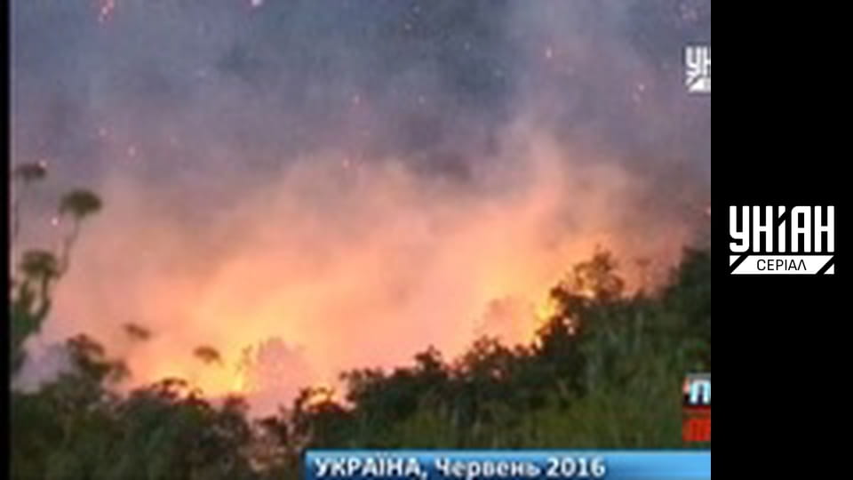 Помста природи