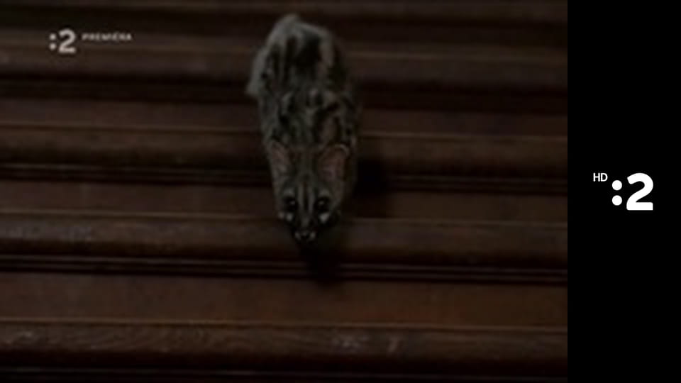 Zázračný miniateliér E101 - Maškrty pre strašidlá