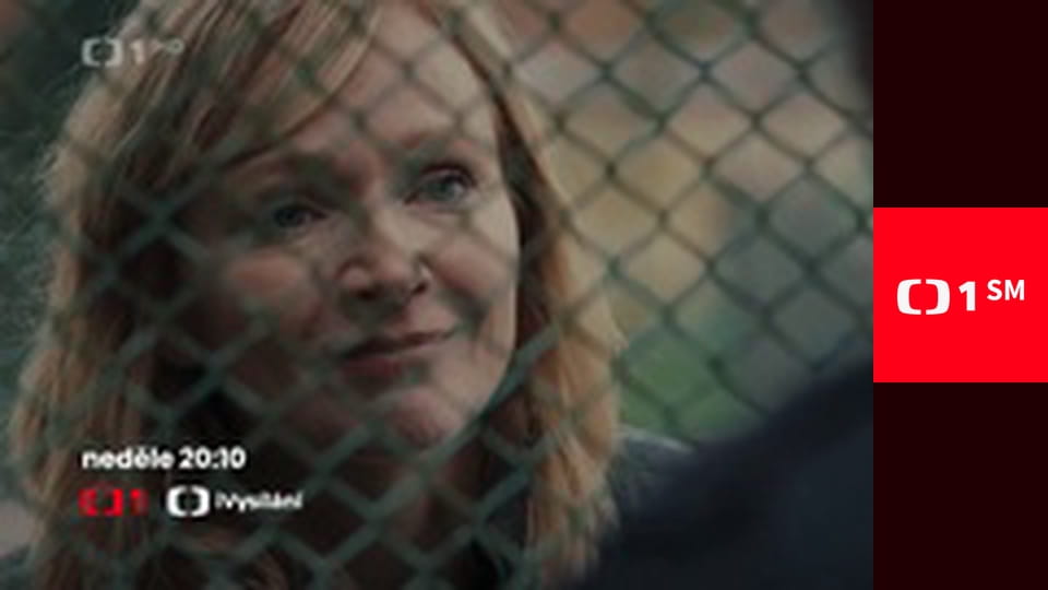 Na silnici jako doma - Sekundární agresivita