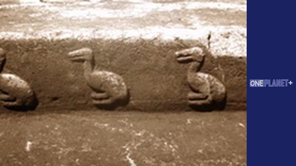 Unlocking the Past, Episode 4