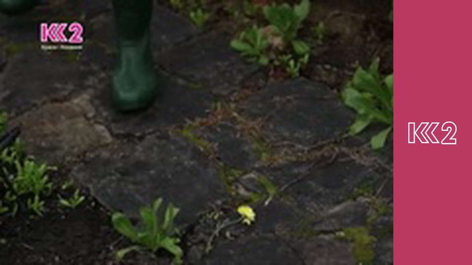 Удачний проект S1E5