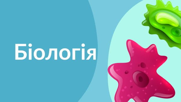 7th grade (2020) – 16.04.2020 biology