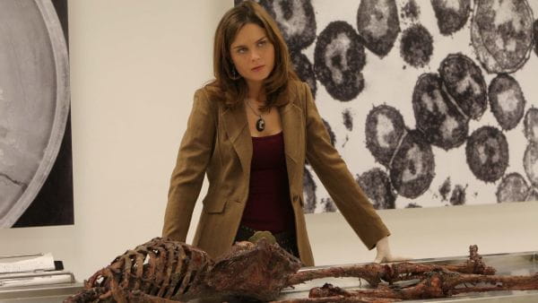 Bones (2005) - 1 season 10 episode