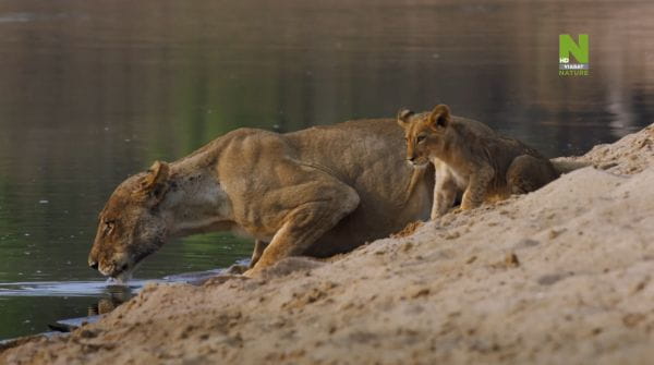 The Waterhole