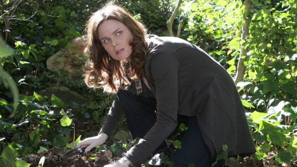 Bones (2005) - 1 season 13 episode