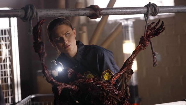 Bones (2005) – 1 season 15 episode