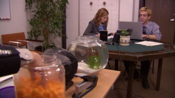 The Office (2005) - 5 season 24 episode