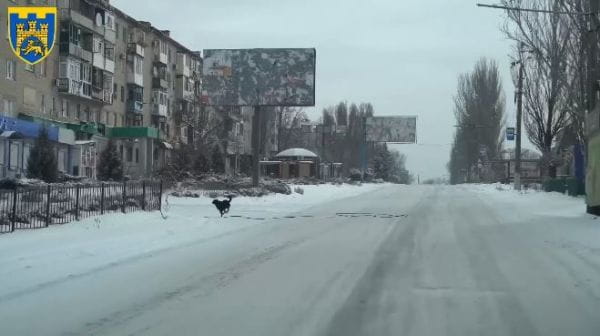 40. "ЗАГНАЛИ РУ**Ю В БУДИНОК І РОЗІБРАЛИ 82-кою" | СИЛА СПРОТИВУ