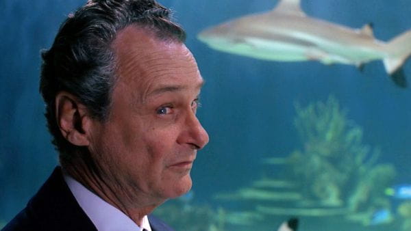 The X-Files ( 1993 ) – 1 season 17 episode