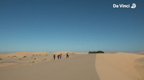 4. West Coast - Heading For Bird Island